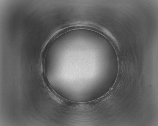 X0000069811368200606021454