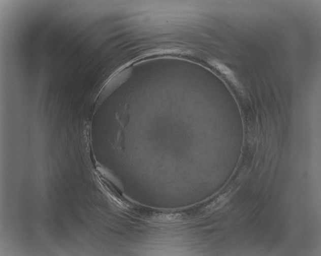 X0000069811369200606021454