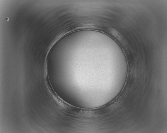 X0000069811370200606021454