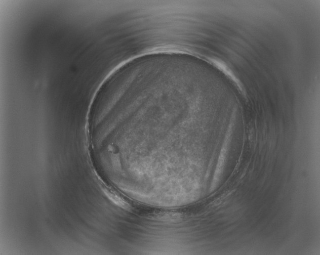 X0000069811372200606021454