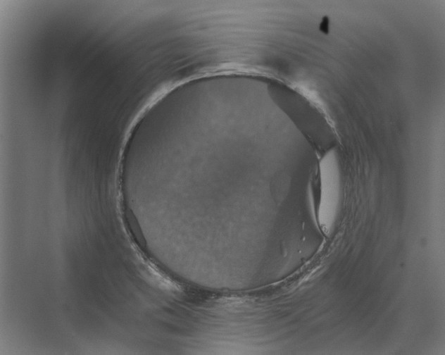 X0000069811373200606021454