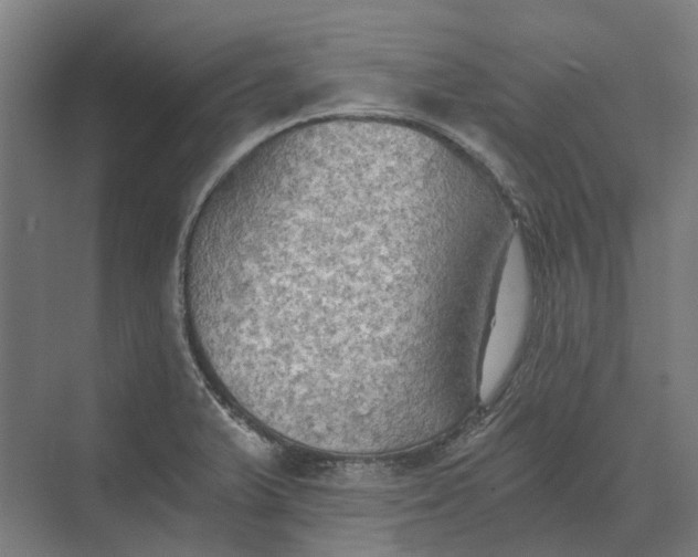 X0000069811375200606021454