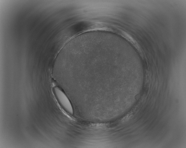 X0000069811377200606021454