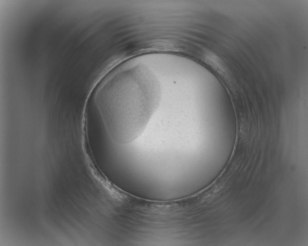 X0000069811378200606021454