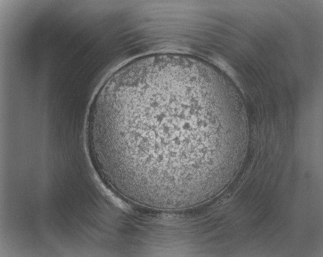 X0000069811379200606021454