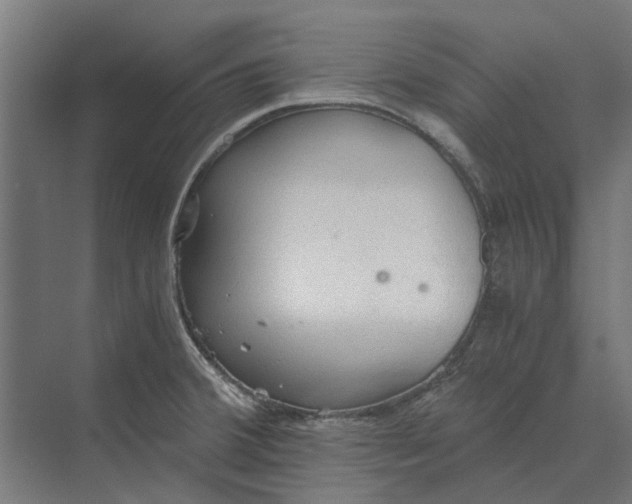 X0000069811380200606021454