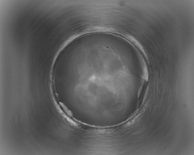 X0000069811381200606021454