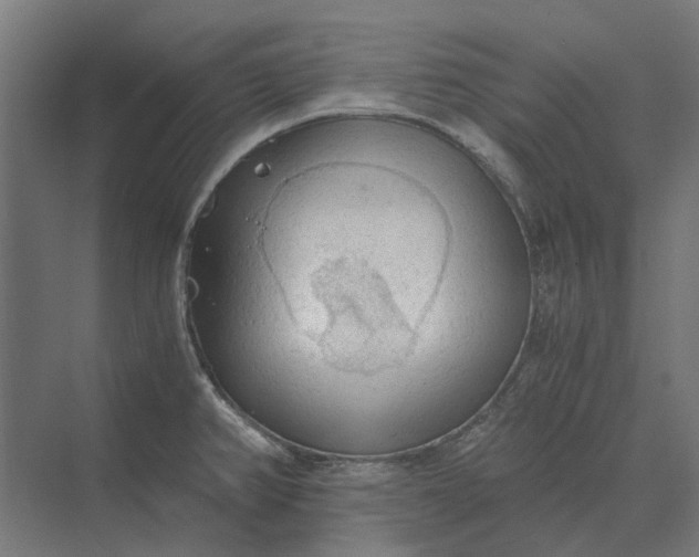 X0000069811382200606021454