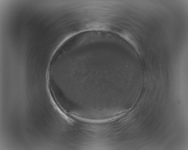 X0000069811383200606021454