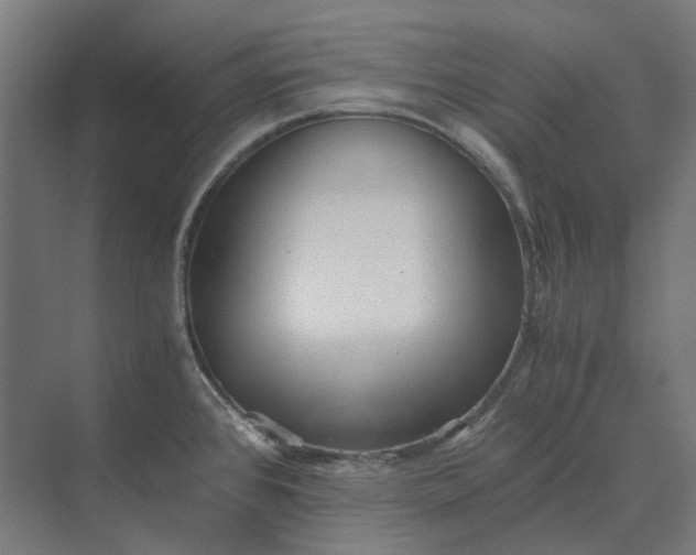 X0000069811384200606021454