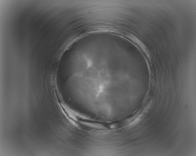 X0000069811385200606021454