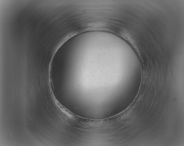 X0000069811386200606021454