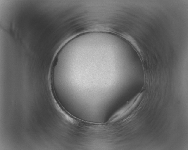 X0000069811387200606021454