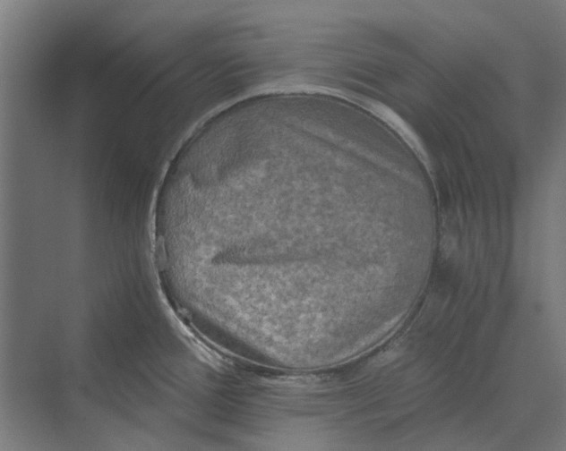 X0000069811388200606021454