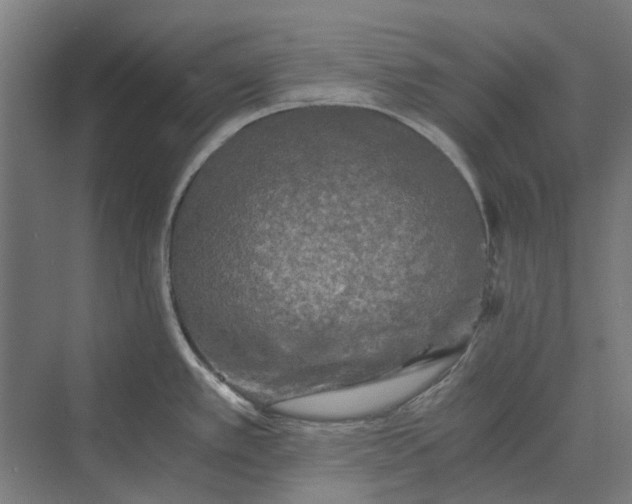 X0000069811389200606021454