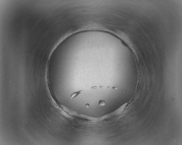 X0000069811390200606021454