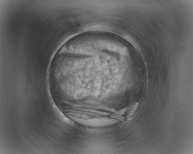 X0000069811392200606021454