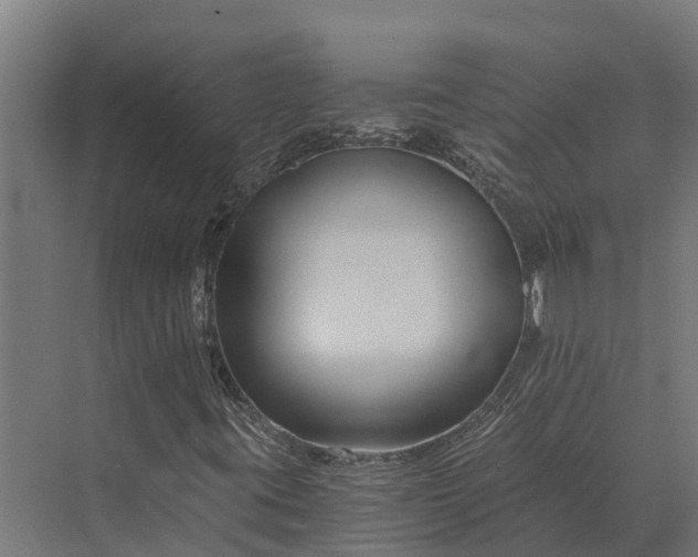 X0000069811395200606021453