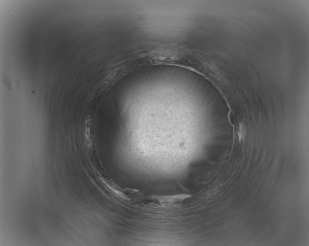 X0000069811396200606021453