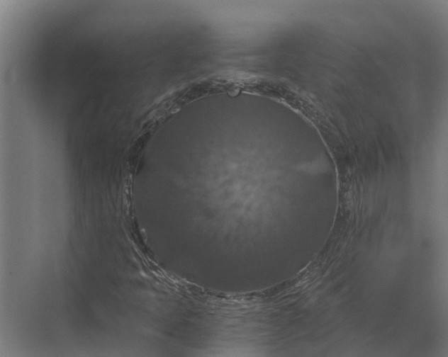 X0000069811397200606021453