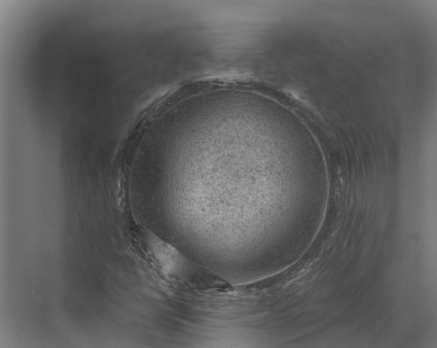 X0000069811398200606021453