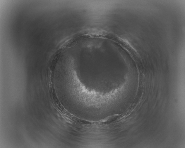 X0000069811399200606021453