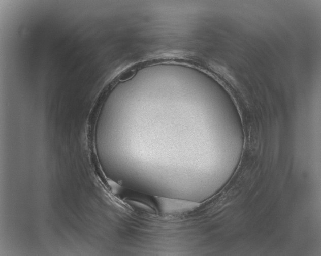 X0000069811404200606021453