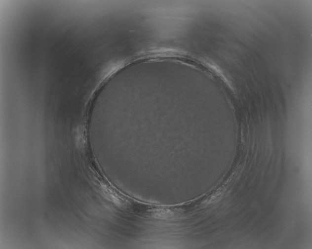 X0000069811405200606021453