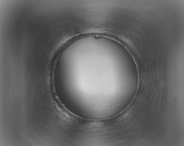 X0000069811406200606021453