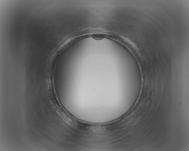 X0000069811407200606021453