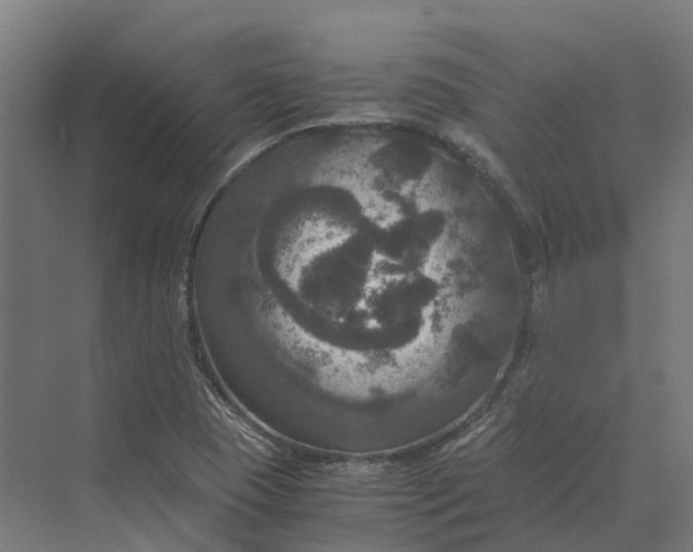 X0000069811409200606021453