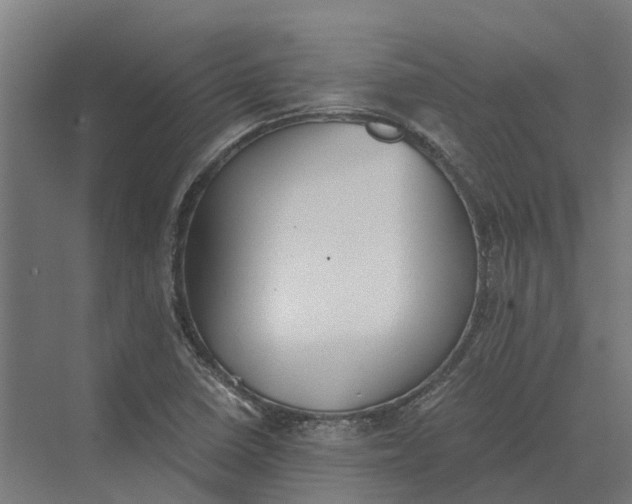 X0000069811410200606021453