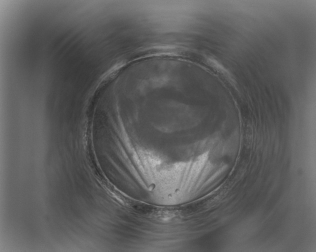 X0000069811411200606021453