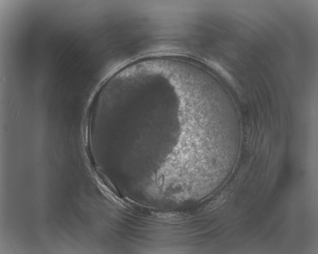 X0000069811413200606021453