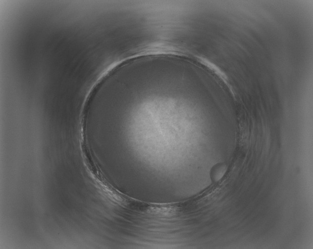 X0000069811415200606021453