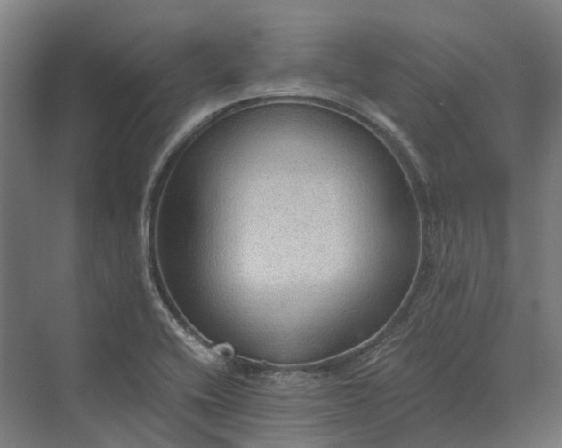 X0000069811416200606021453