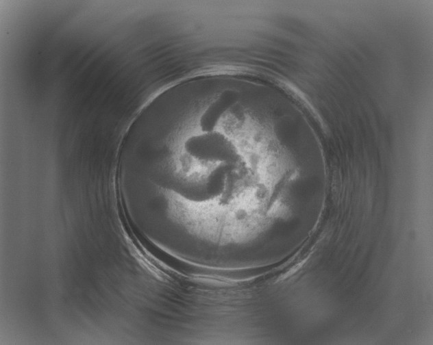 X0000069811417200606021453