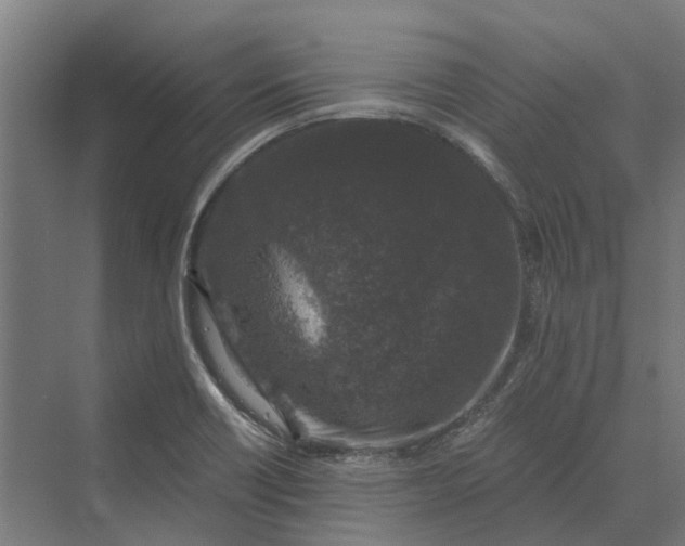 X0000069811418200606021453