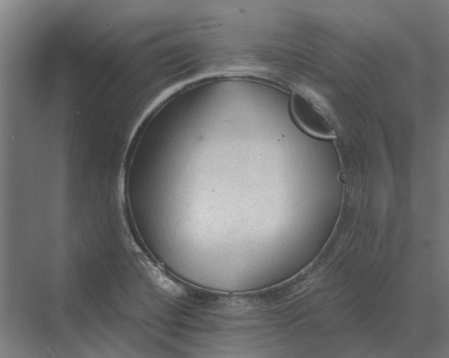 X0000069811420200606021453