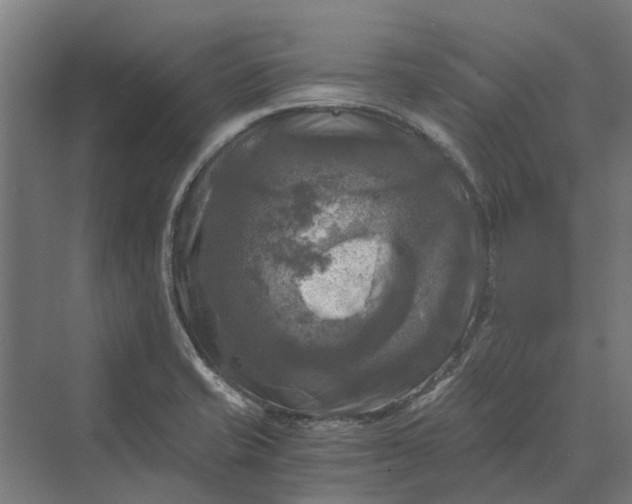 X0000069811421200606021453