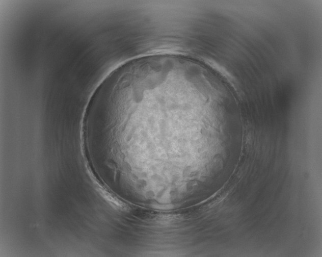 X0000069811423200606021453