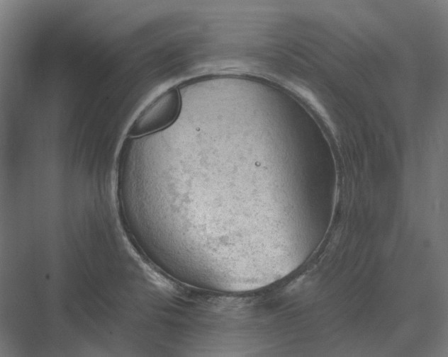 X0000069811424200606021453