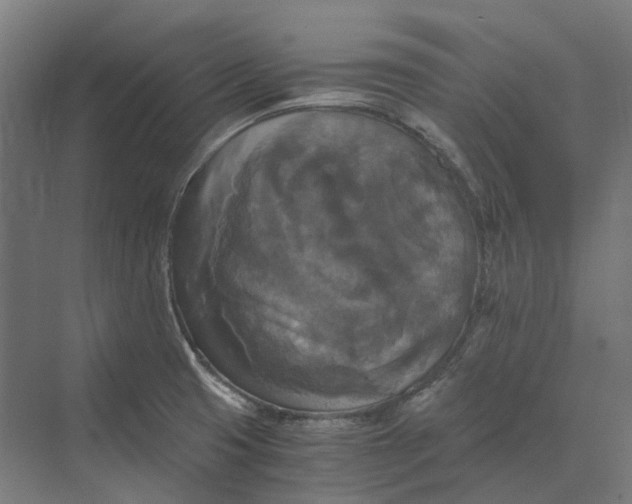 X0000069811425200606021453