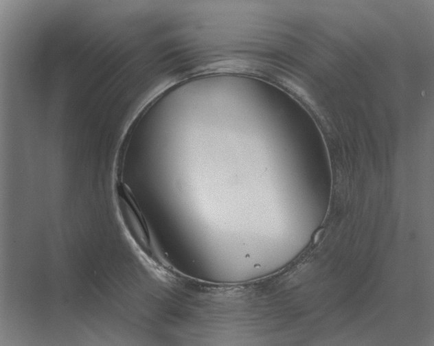 X0000069811426200606021453