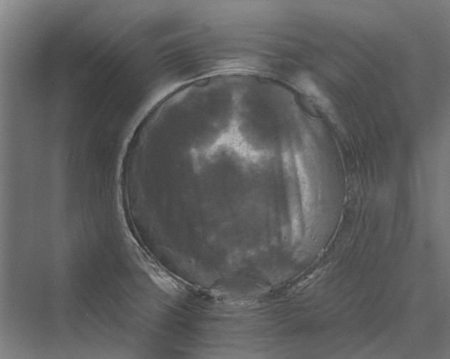 X0000069811427200606021453