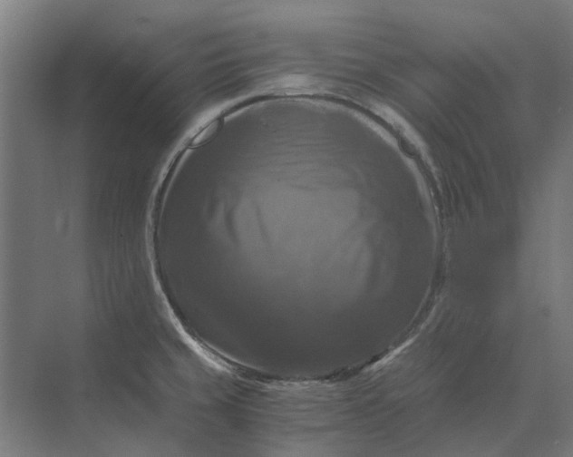 X0000069811429200606021453