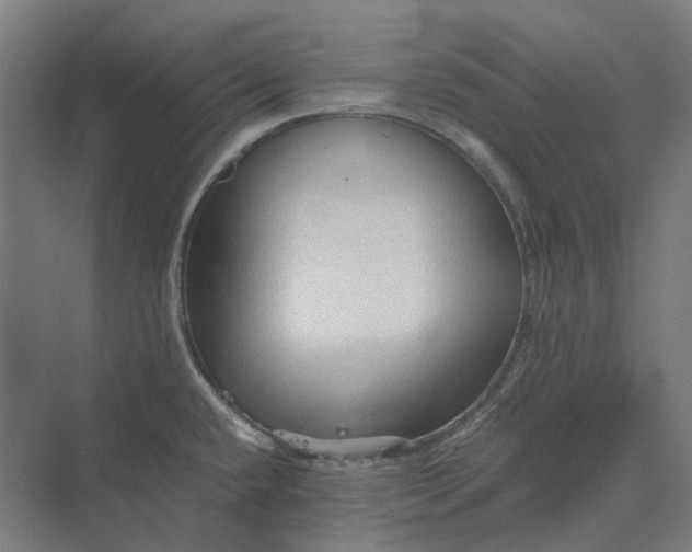 X0000069811432200606021453