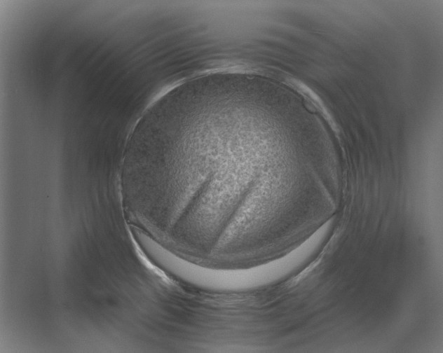 X0000069811433200606021454