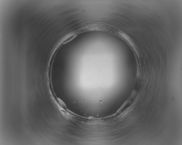 X0000069811434200606021454