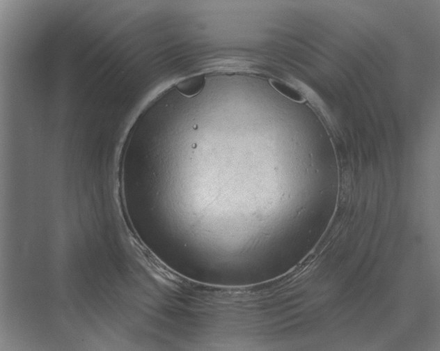 X0000069811435200606021454